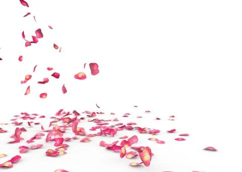 Many rose petals fall on the floor Stock Illustration