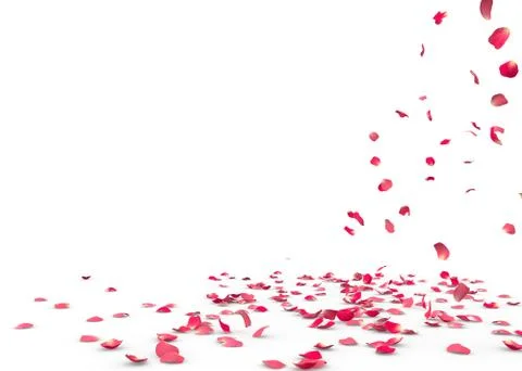 Many rose petals fall on the floor Stock Illustration