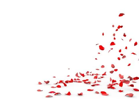 Many rose petals fall on the floor Stock Illustration