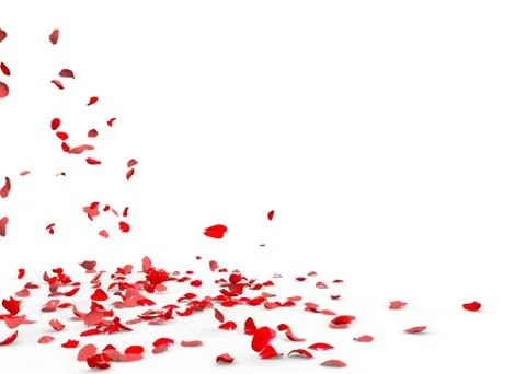 Many rose petals fall on the floor Stock Illustration