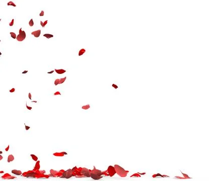 Many rose petals fall on the floor Stock Illustration