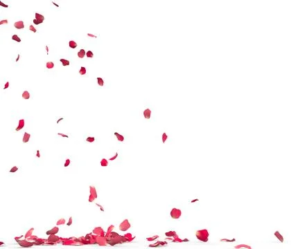 Many rose petals fall on the floor Stock Illustration