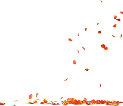 Many rose petals fall on the floor Stock Illustration