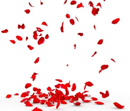 Many rose petals fall on the floor Stock Illustration