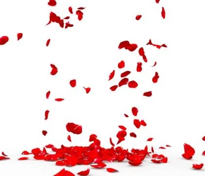Many rose petals fall on the floor Stock Illustration