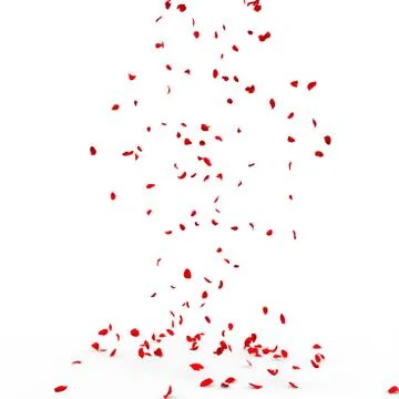 Many rose petals fall on the floor Stock Illustration