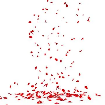 Many rose petals fall on the floor Stock Illustration