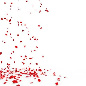 Many rose petals fall on the floor Stock Illustration
