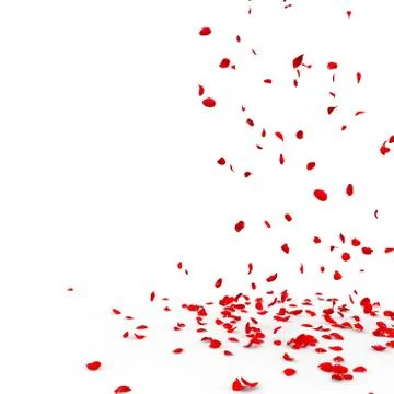 Many rose petals fall on the floor Stock Illustration