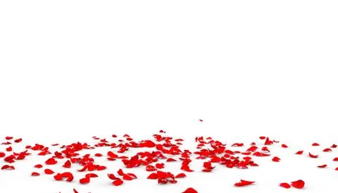 Many rose petals fall on the floor Stock Illustration