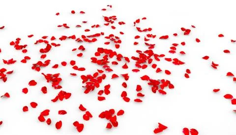 Many rose petals fall on the floor Stock Illustration