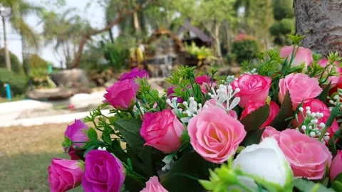 Many roses in front of the waterfall Stock Footage 263510316
