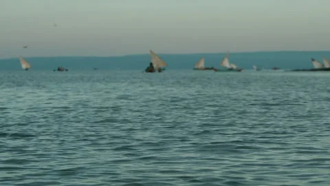 Many rowing and sailing boats with african fishermen on lake Victoria with Video stock 314947064