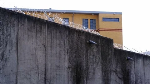 Many rows of barbedwire, high concrete fence, barbed wire fence on top, build Video stock 174692293