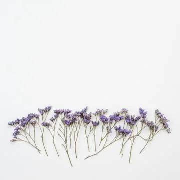 Many rustic flowers lie on table. Copy space Stock Photos