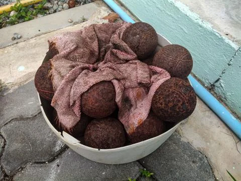 Many rusty petanque balls Stock Photos