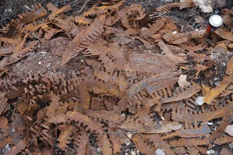 Many of the same objects form rusty Фото