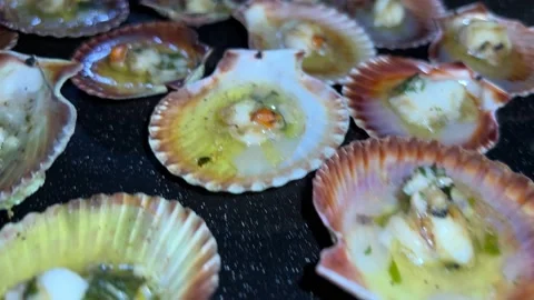 Many scallops opened in the moment of preparation Video stock 221100791