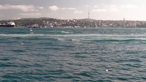 Many seagulls over the water with a view of Istanbul Stock Footage 281640721