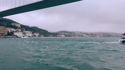 Many seagulls under the Bosphorus bridge. Seagulls fly in the Bosphorus. A flock Video stock 201890423