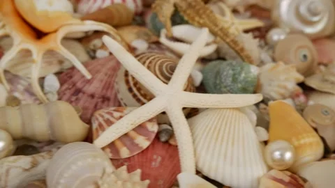 Many seashells, starfishes and corals with pearls Stock Footage 255754049