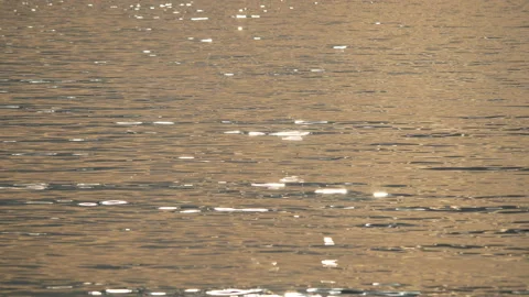 Many shiny sparkiling light reflections of the sunlight in the sea , small ri Stock Footage 130583998