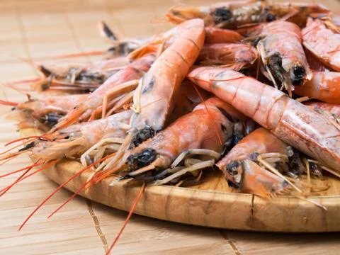 Many shrimp Stock Photos