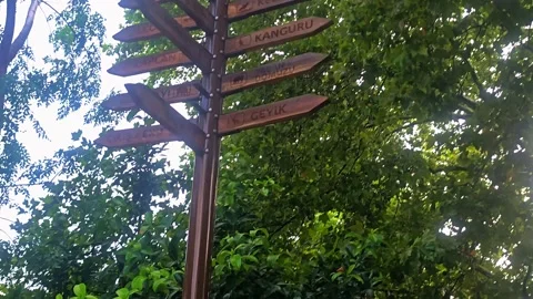 Many signs on a pole. Stock Footage 282622757