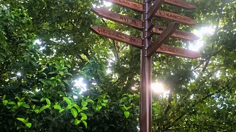 Many signs on a pole. Stock Footage 282622957