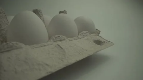 Many single chicken eggs in a cell. Macro shot from Laowa 24 Probe lens Video stock 134699722
