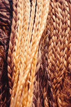 Many small braids Stock Photos