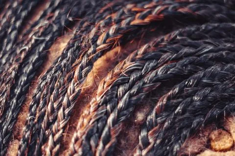 Many small braids Stock Photos