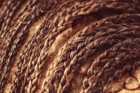 Many small braids Stock Photos