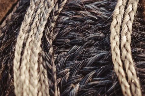 Many small braids Stock Photos