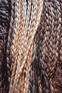 Many small braids Stock Photos