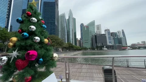 Many Small Christmas Trees lining up along the road to MBS Singapore Stock Footage 221601676