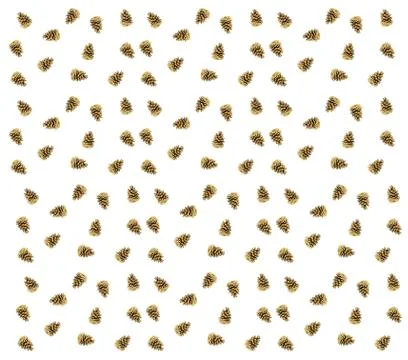 Many small cones pattern of brown on white background endless row of rustic Stock Photos