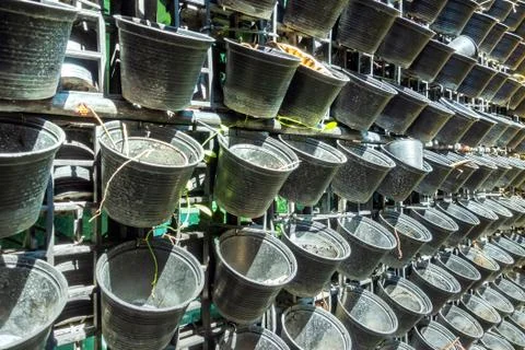 Many small, empty black plastic pots were hung on a metal fence in the garden Stock Photos
