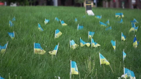 Many small flags of Ukraine symbolize killed in the war during russian invasion. Video stock 196122138