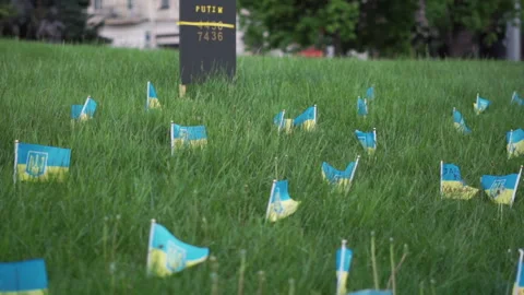 Many small flags of Ukraine symbolize killed in the war during russian invasion Stock Footage 196122249