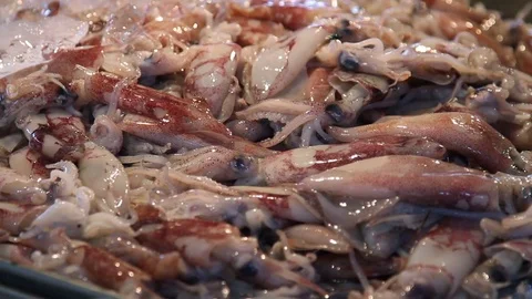 Many small fresh squid are sold in the local market in Thailand Stock Footage 77548009