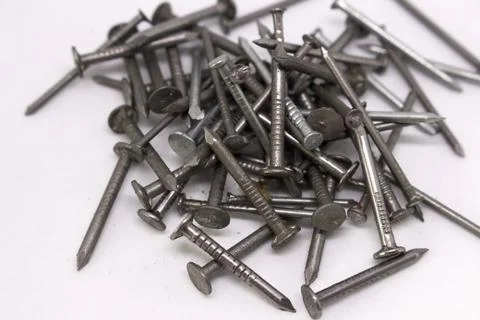 Many small nails on a white background Stock Photos