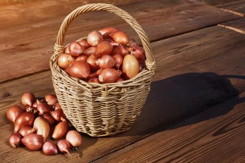 Many small onions in rustic basket on wooden table. Fresh red onions on the Stock Photos