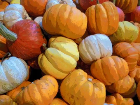 Many small pumpkins in the marke Stock Illustration