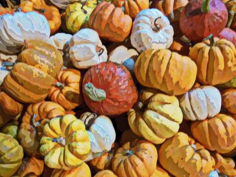 Many small pumpkins in the marke Stock Illustration