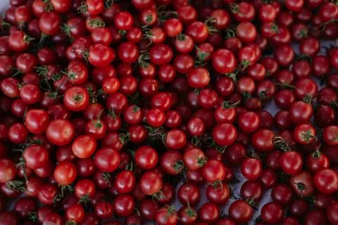 Many small red cherry tomatoes on a counter at a Turkish bazaar Stock Photos