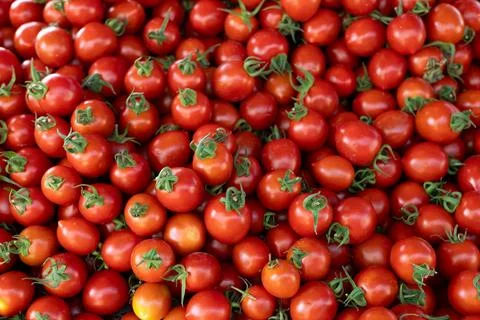 Many small red cherry tomatoes on a counter at a Turkish bazaar Stock Photos