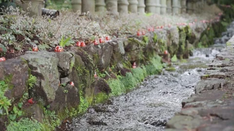 Many small red Daruma dolls decorate the rocky banks of a flowing stream at Stock Footage 344282058