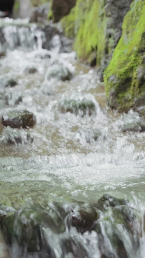 Many small red Daruma dolls decorate the rocky banks of a flowing stream at Stock Footage 345740809