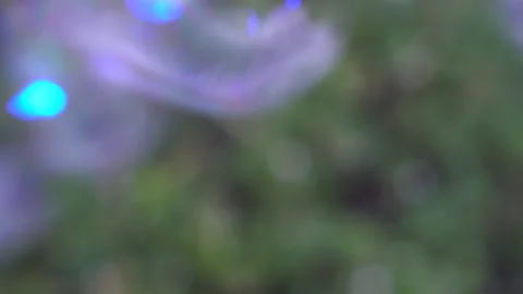 Many small soap bubbles fly. Soap bubbles on a grass background. Slow motion. Stock Footage 132288408